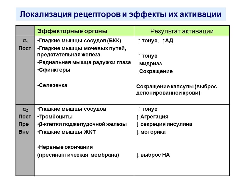 Локализация рецепторов и эффекты их активации